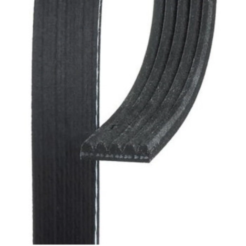 Cinturón serpentino acanalado en V estándar ACDelco genuino para Plymouth Colt 1994 | negro Foto 3 de 4