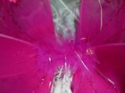 Bild 22 von 24