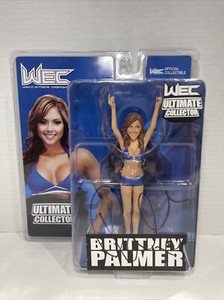 Love pours in for UFC legend Brittney Palmer as ring girl turns heads in 'fire' bikini