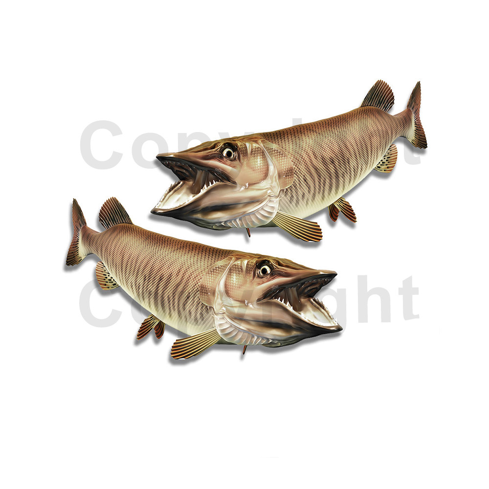 Tiger Musky Sticker Decal Fishing RV Boat Car Truck Camper Trailer F090
