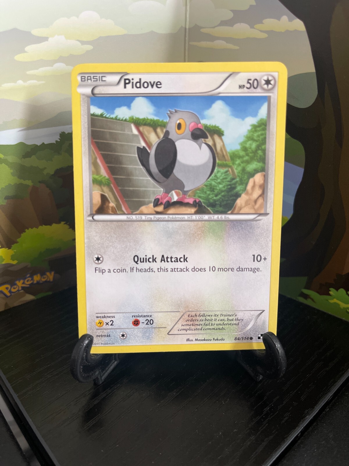 Pidove 84/114 - Black & White - Common - Pokemon Card TCG - LP