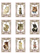 Vintage Cats E Designer MULTI-SIZE SET Cotton Fabric Quilt Blocks