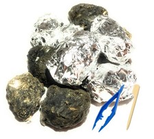 Premium Barn Owl Pellets, Small: 1.25"-1.5" Pack of 20 - Free Bone Identifi...