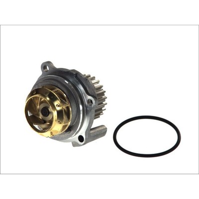 Wasserpumpe HEPU P545