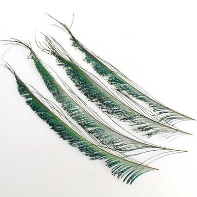 16 Pfauenfedern ca 20-25cm Federn Vogel Pfau Peacock feathers grün blau Schimmer