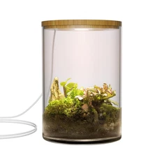 5.9" x 7.9" Desktop Plant Terrarium with Grow Light for Succulent, Moss, Mini...
