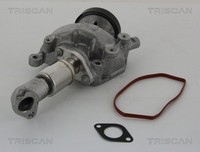 Triscan AGR Ventil 8813 23023 FüR Sprinter 638 Mercedes Vito B903 Bus B904 B901