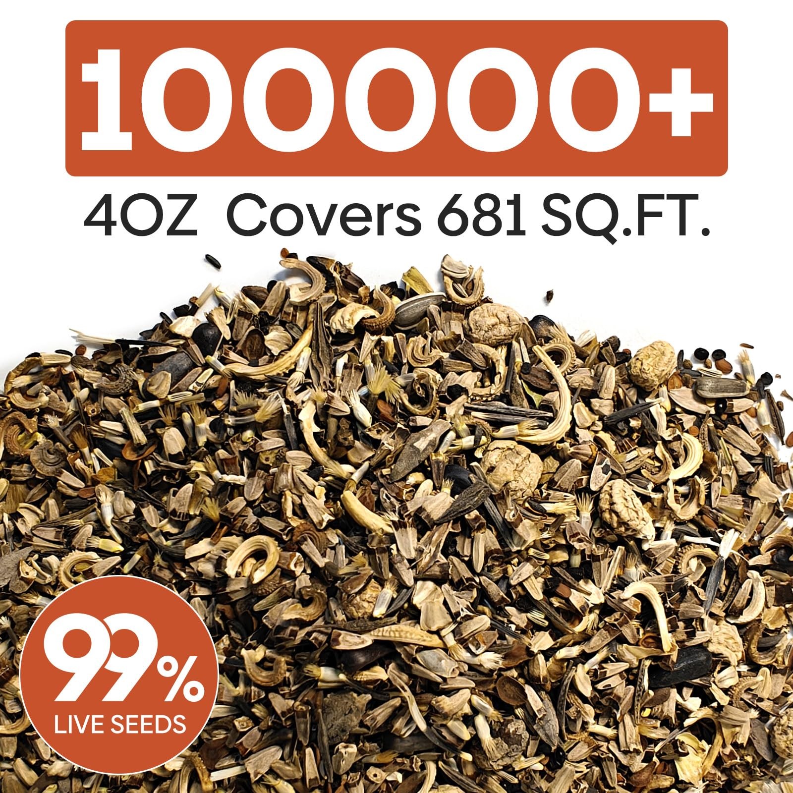 Groundio All Perennial Wildflower Seeds Bulk, 1/4 lb, 100,000+ Seeds, 26 Variety