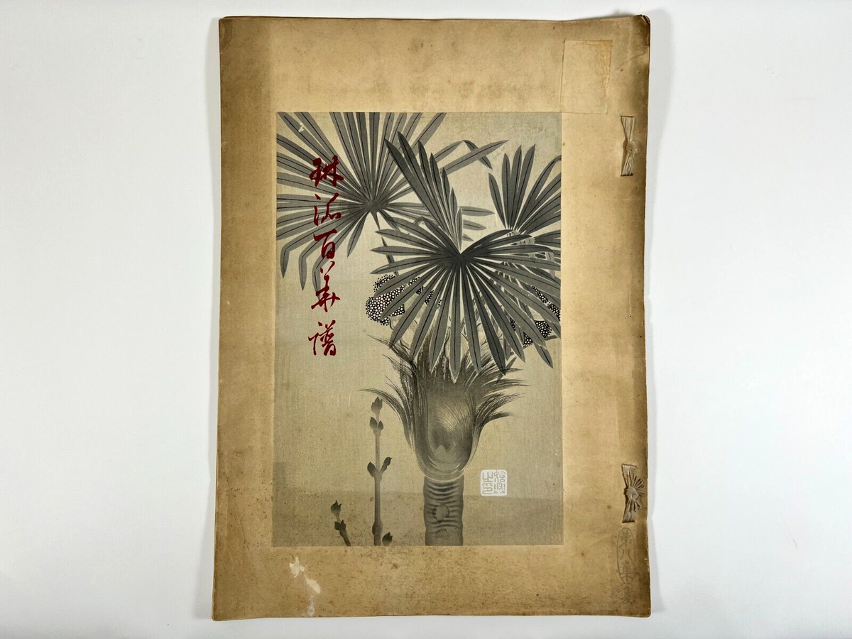 Lot De 6 Estampes Japonaises Originales Rimpa Hyakkafu Vol.13 - Uchida - 1930