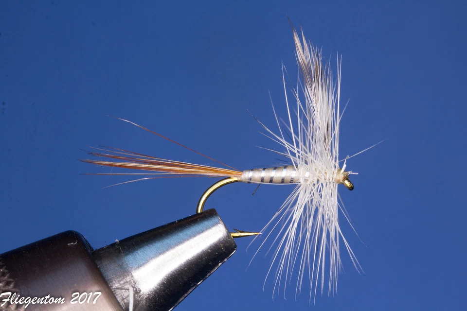 Set mit 12 Trockenfliegen - Finesse Trockenfliegen  - Bild 2 von 2