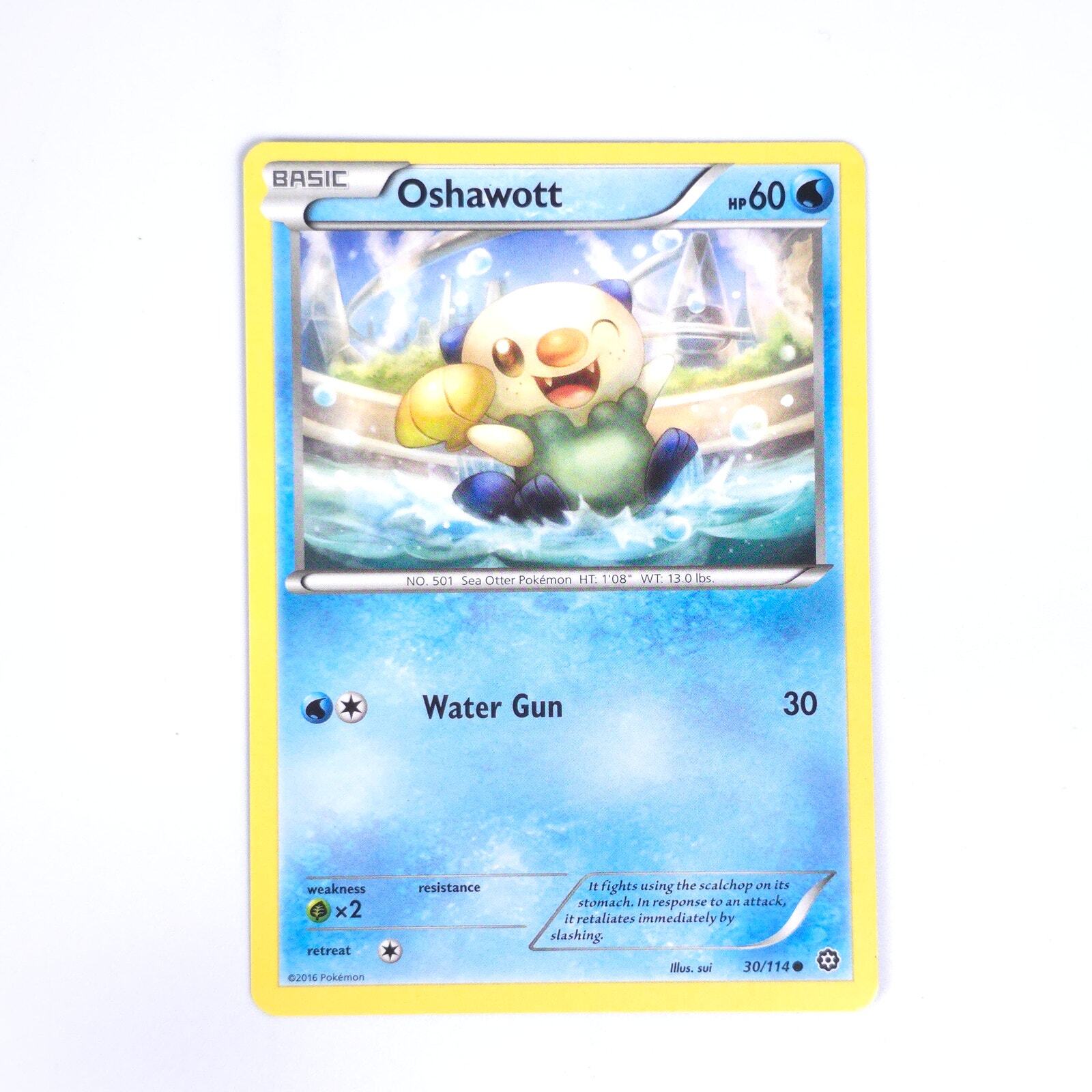 Oshawott 30/114 Pokemon XY - Steam Siege NM