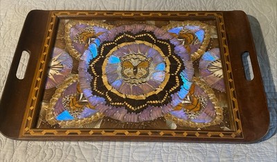 Brazilian Inlaid Morpho Butterfly Tray Rare Beautiful Craftsmanship