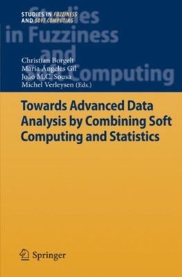 Towards Advanced Data Analysis by Combining Soft Computing and St