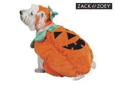 Pumpkin Costume by Zack Zoey