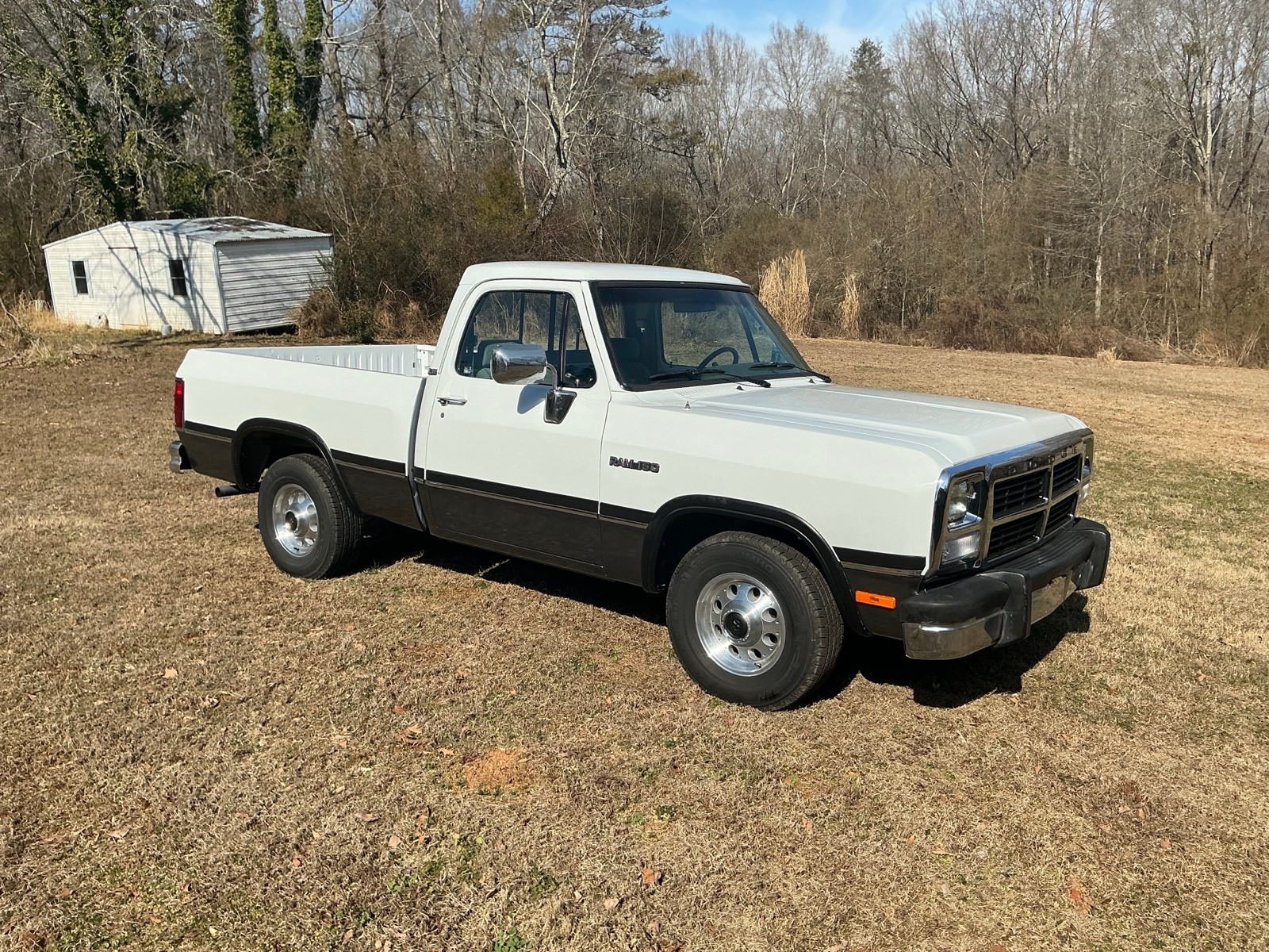 1993 Dodge D150 for sale in Gainesville Georgia