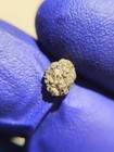 NWA 12564 Martian Meteorite 0.152g Mini Individual Rare Shergottite COA — photo 4