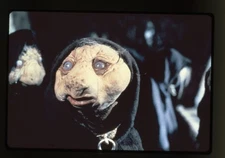 The Dark Crystal 1982 Pod People of Thra Vintage Duplicate 35mm Transparency 