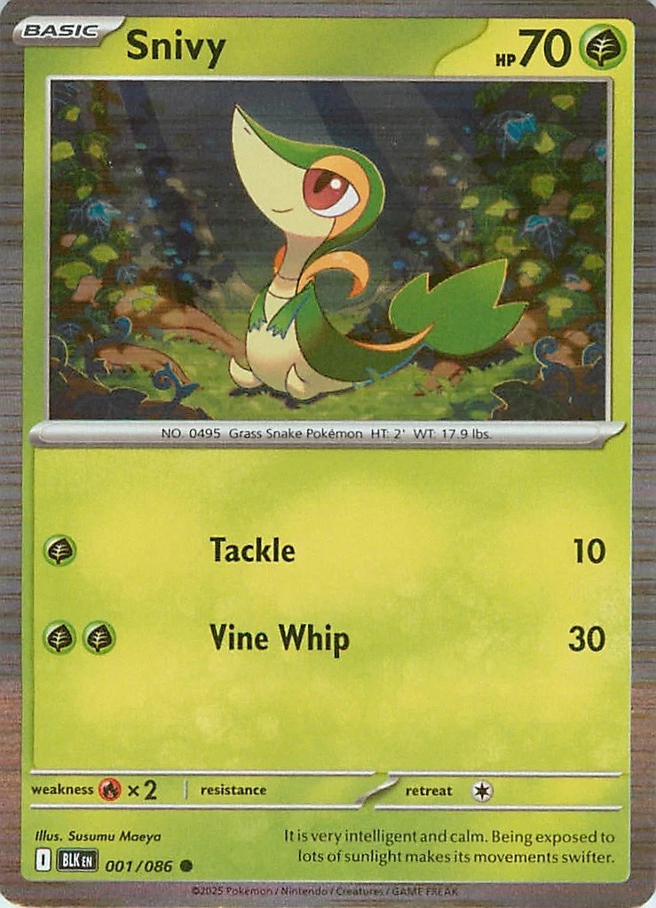 Choose Your Cards Pokemon Black Bolt NM Holo and Reverse