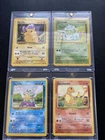 Pokemon 1999 WOTC Starters + Pikachu Bulbasaur Squirtle and Charmander