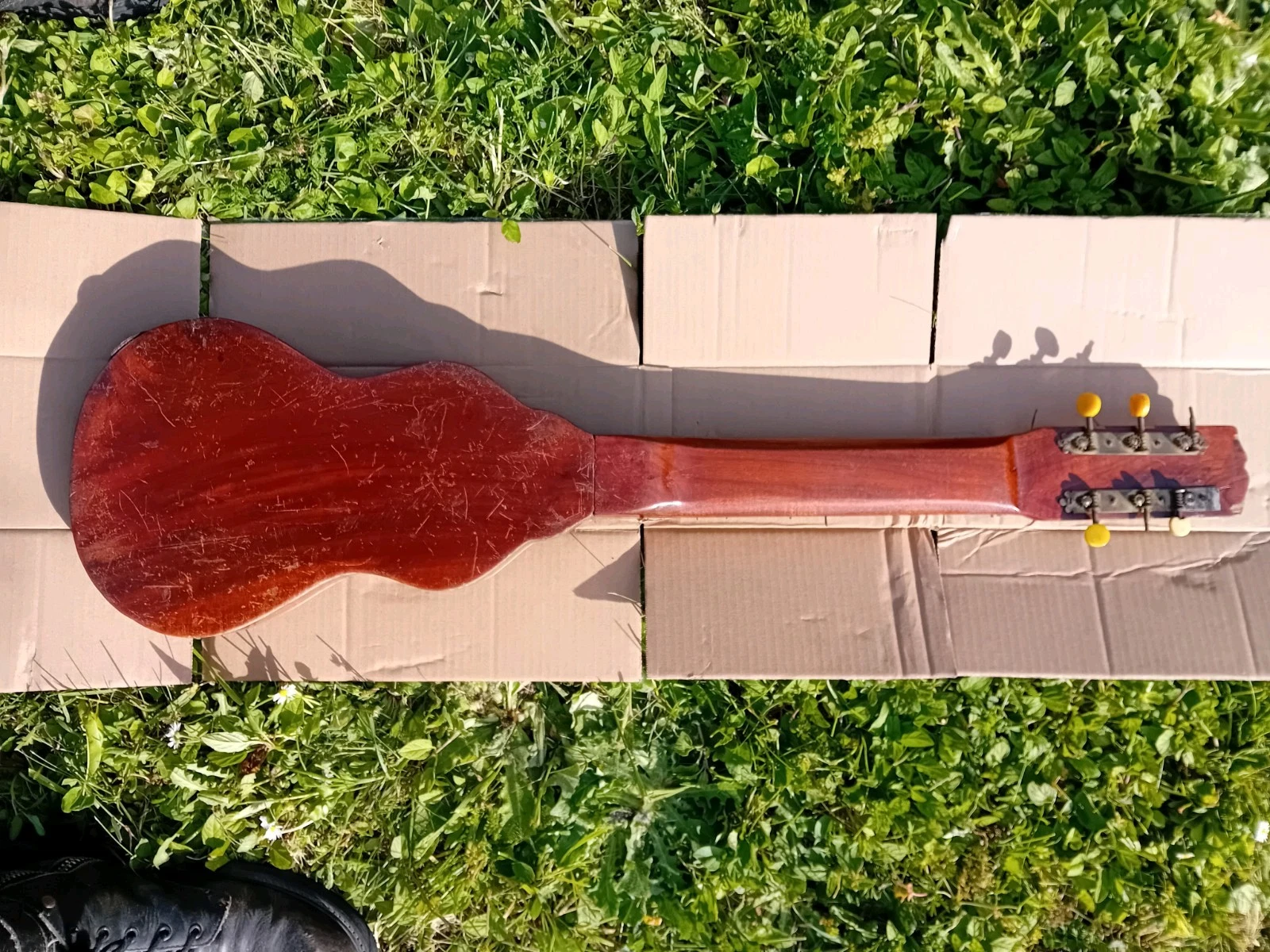 Picture 5 of 8