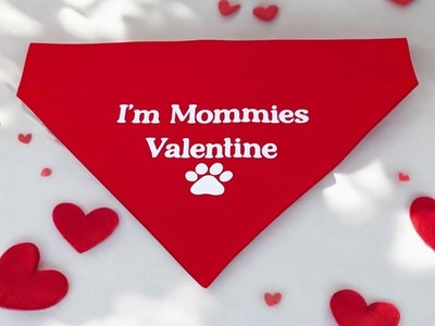 Dog Bandana OVER THE COLLAR Gift for Mom Mommy Valentines Day Slide on Bandanna