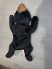 Ty Beanie Baby Blackie The Bear Plush Toy. 3rd Generation. No Swing Tag.