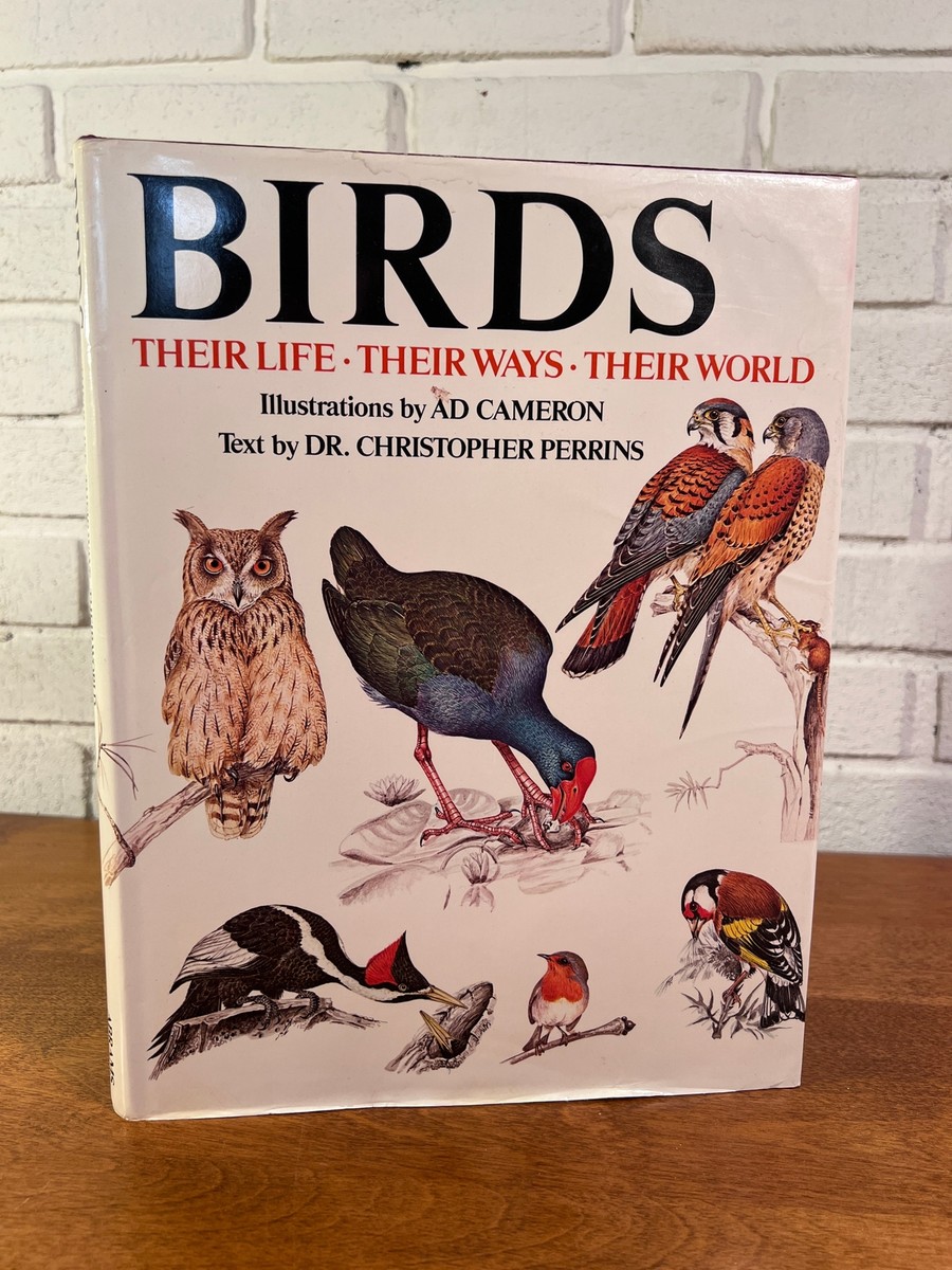 英語版　1976年発行　A closer Look at BIRDS 英語版 1976年発行 A closer Look at BIRDS 英語版 1976年発行 A