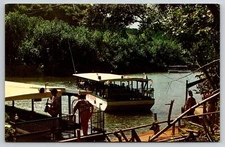 Boat Trip Wailua River, Kauai, Hawaii postcard