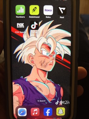 Apple IPhone 13 With TikTok