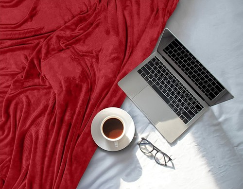 Fleece Blanket 300GSM Luxury Bed Blanket Anti-Static Fuzzy Soft Utopia Bedding - Picture 32 of 170