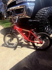 Pacific Fire Ant Boys' 16