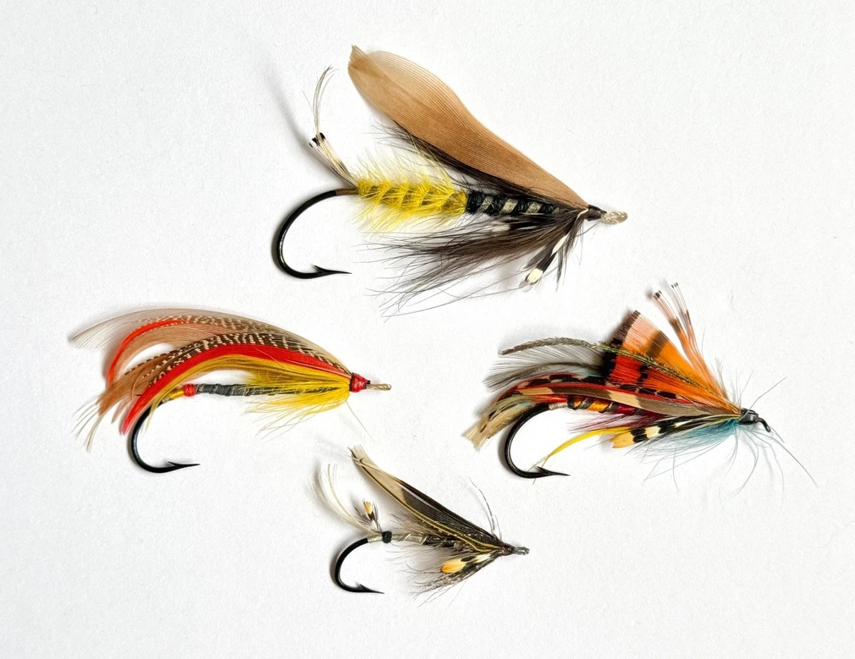 barred hooks set fishing Baitholder 25~100Pcs Barbed Shank Beak Live Bait Holder – 9km-dwlife Color:Chartreuse Sexy Shad inventory check To get a great Daiwa Trout Rod Silver