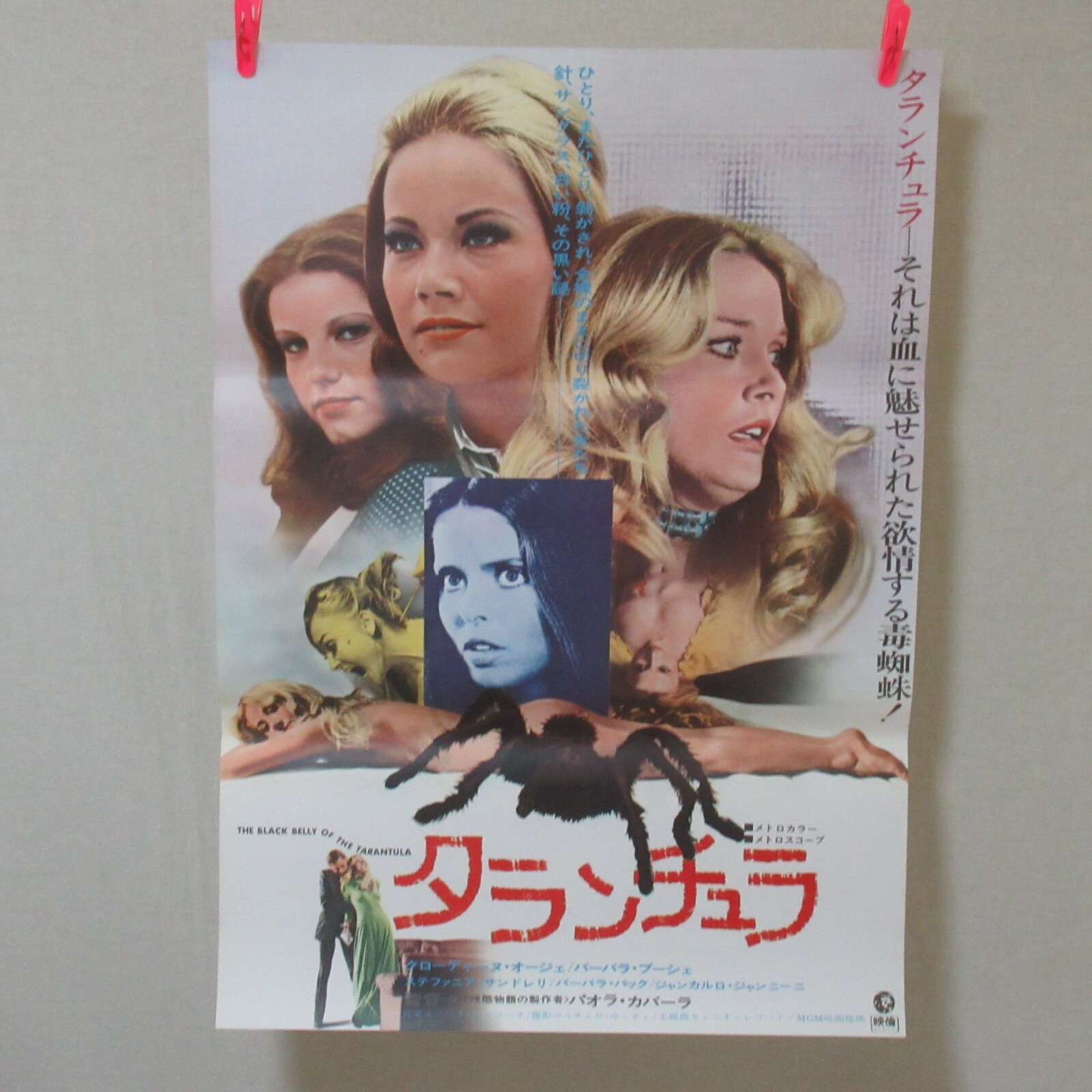 The Black Belly Of The Tarantula 1970 Original Movie Poster Japanese B2 Ebay