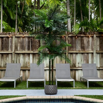 8  Artificial Double Robellini Palm Tree UV (Indoor/Outdoor). Retail $239