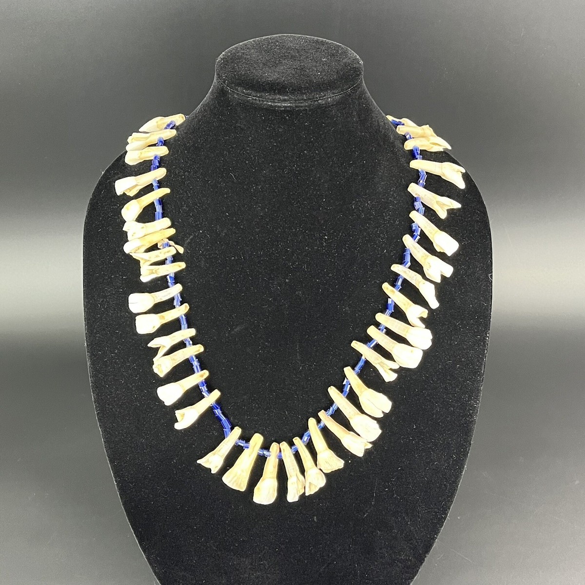 OLD Native American Buffalo Tooth Necklace Plains Tribe Glass Beads  Leather