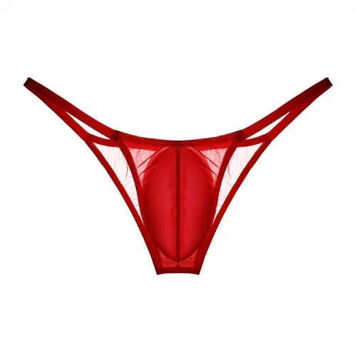 Men Sheer Mesh Low-Rise Bikini Thong Swimwear G-string Briefs Tanga Underwear - Picture 12 of 26