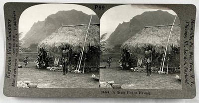 Antique Keystone View Stereoview 34444 Native Hawaiian Grass Hut Hawaii Photo 3D