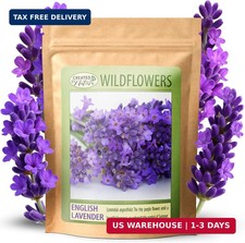 Created By Nature English Lavender Seeds, 3,000 Purple Perennial Wildflower Seed
