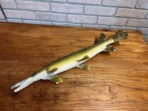Vintage Long-Nose Gar Full Taxidermy Wall Mount Fish Cabin Decor 26.5"