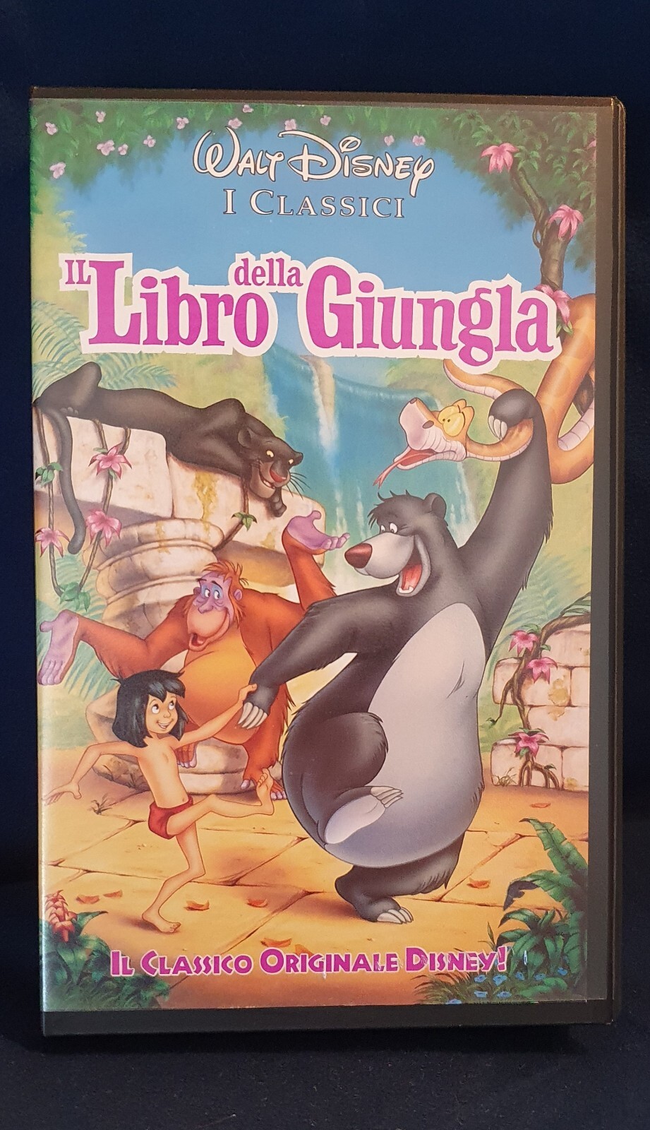 Foto 2 di 4