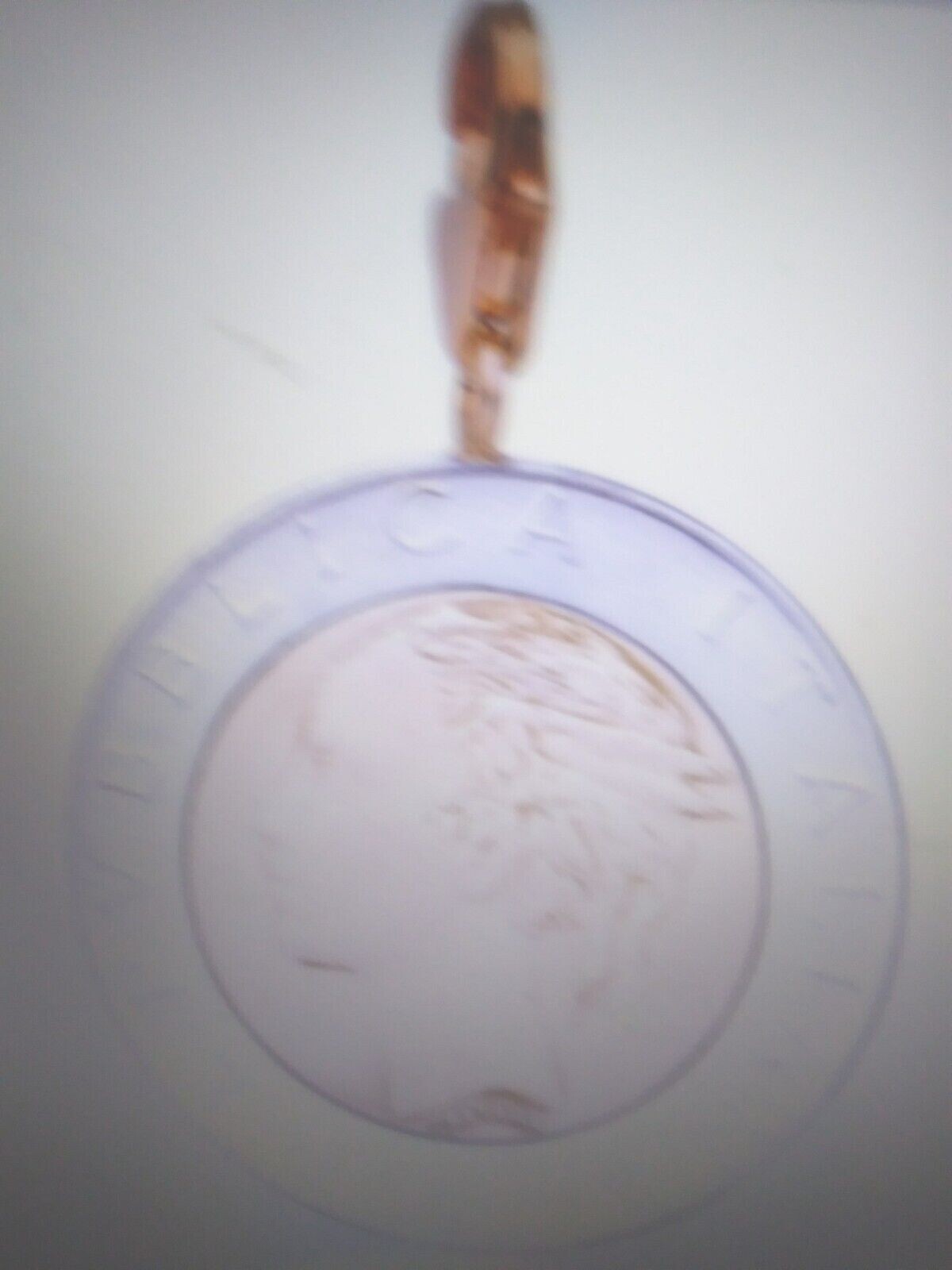 Picture 3 of 12
