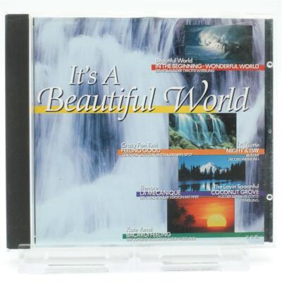 ist a Beautiful World CD gebraucht sehr gut