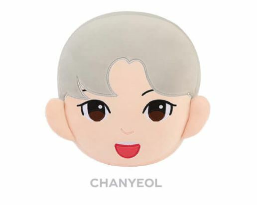 EXO SM OFFICIAL GOODS CHARACTER CUSHION + PHOTOCARD PHOTO CARD