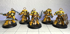 Pro Painted Blade Guard Veterans Imperial Fis...