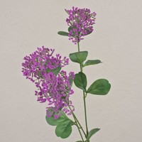 Artplants Kunstzweig Schafgarbe Wondi, Violett, 65Cm