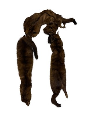 Fox Mink L'appartement 小物 Line FurHatWorld.com Trim: Fur Fox with Stole Mink White Wisdom Stole 小物