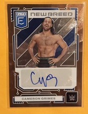 WWE Panini Elite - New Breed - Auto - Cameron Grimes Gold Numbered /10