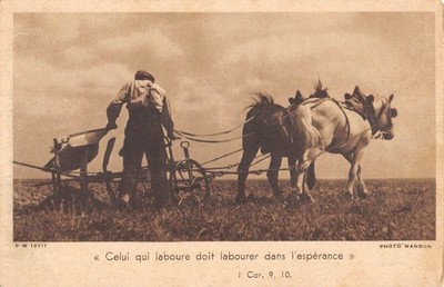 Old postcard agriculture / he who plows must plow in hope