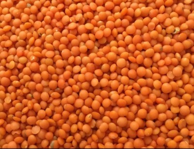 Rote Linsen Hülsenfrüchte Mercimek 1kg Red Lentil GVO frei 1A SoleilFOOD