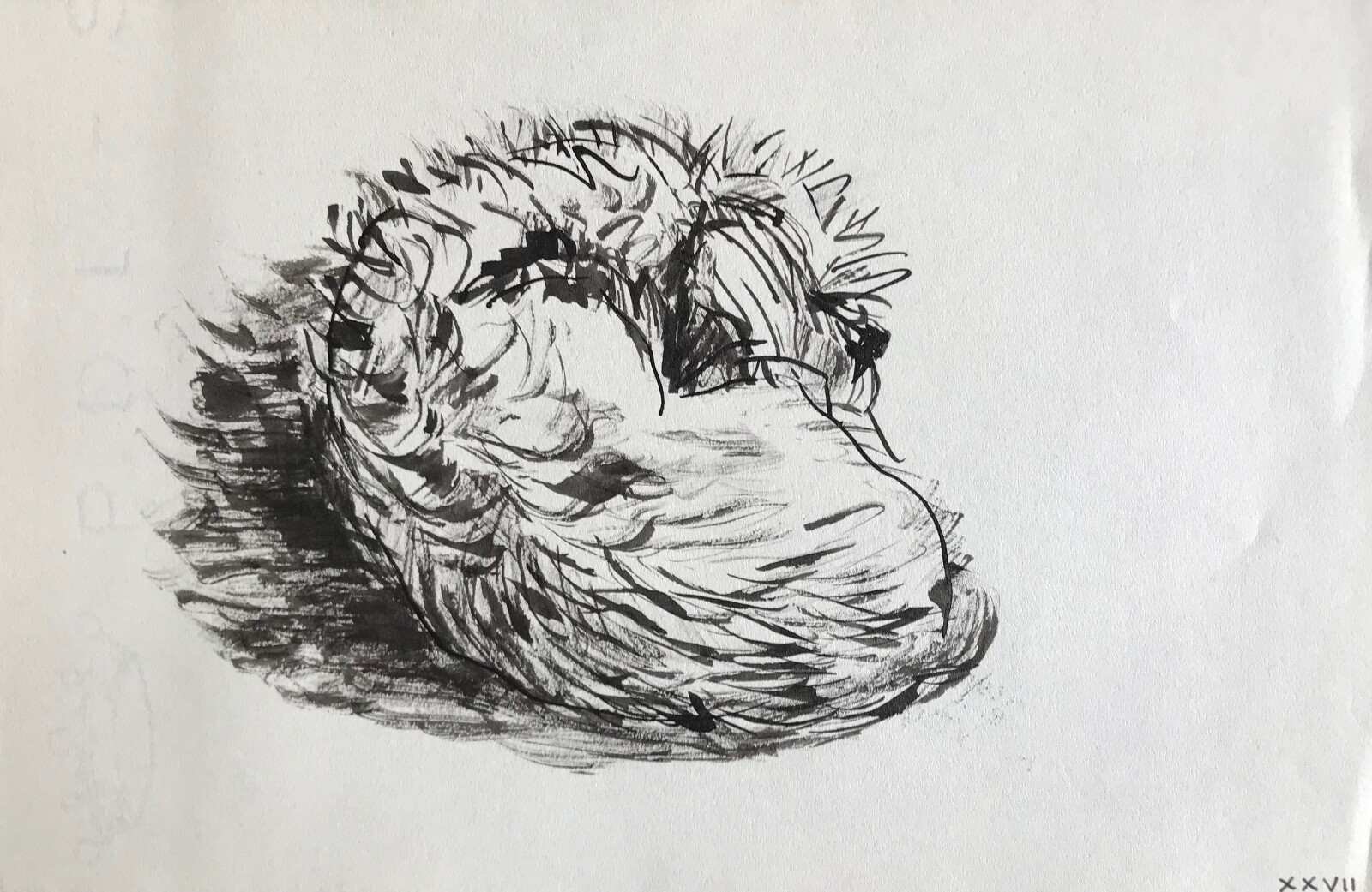 Hélène Vogt Original Ink Drawing of a Dog 12